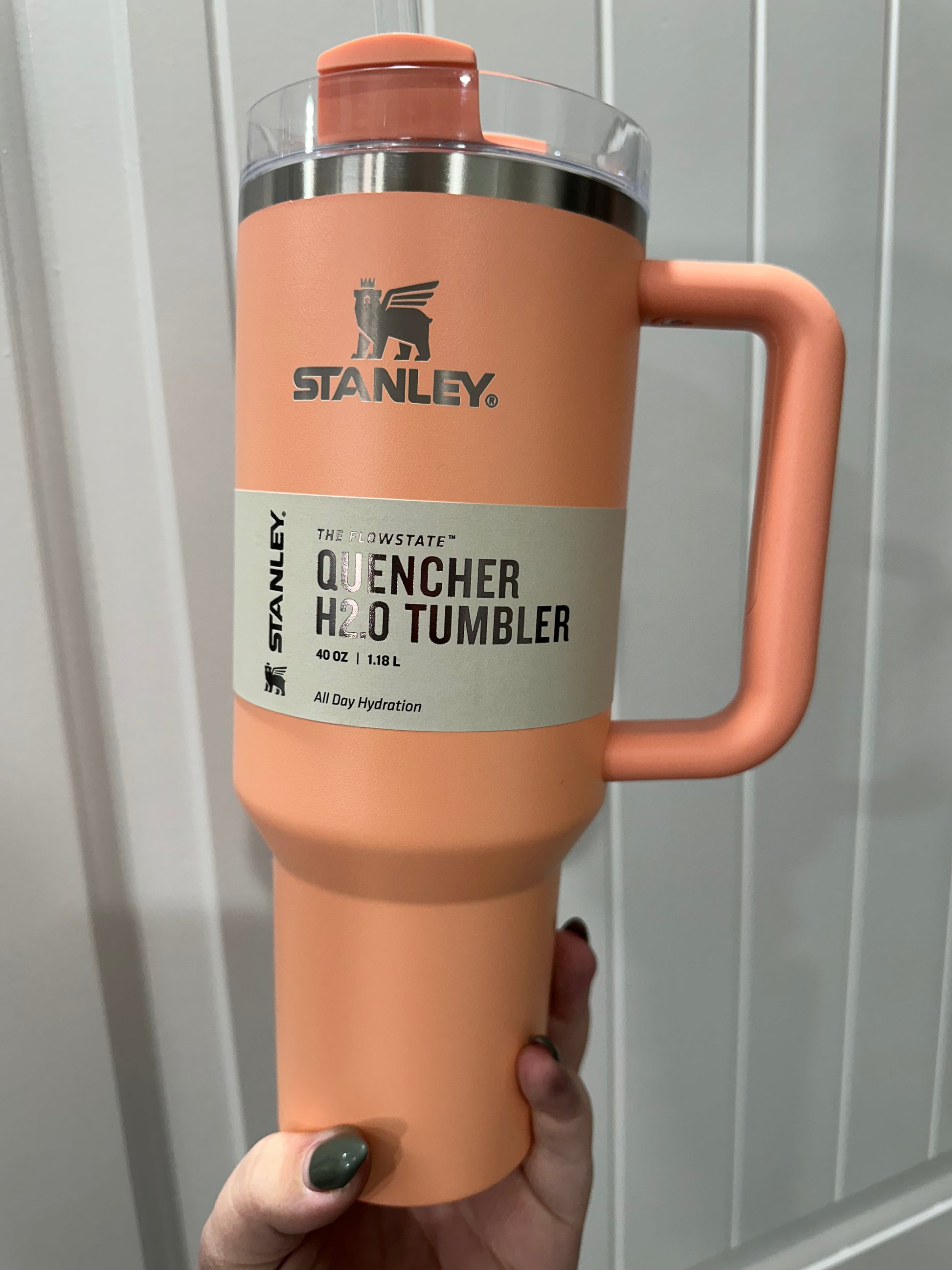 Stanley 40 oz. Quencher H2.0 FlowState Tumbler, Alpine